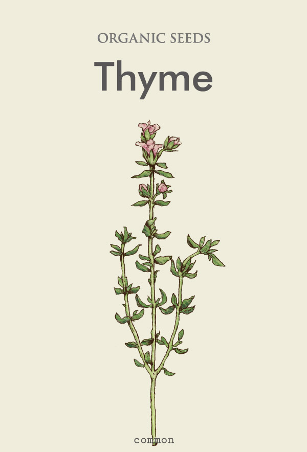 Thyme | SEED STORE